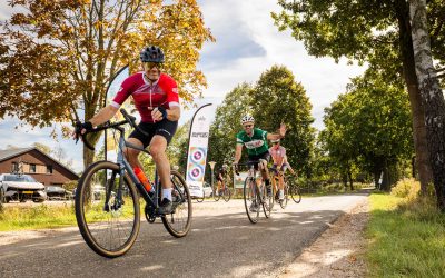 Van Gogh Sunflower Tour 2026